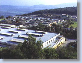 pic of I.M.I's plant